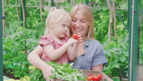 Mutter-Und-Tochter-Halten-Eine-Kiste-Mit-Selbst-Angebautem-Gemüse-Im-Gewächshaus