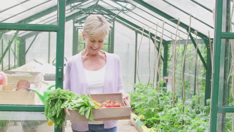 Portrait-Of-Senior-Woman-Holding-Box-Of-Home-Grown-Vegetables-In-Greenhouse