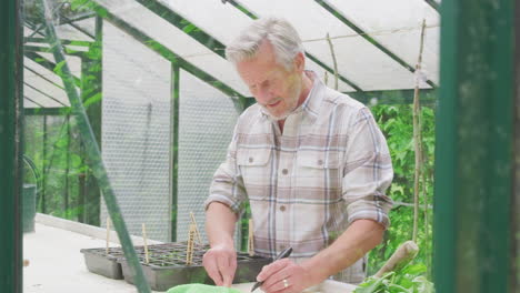 Senior-Man-Writing-Labels-For-Plants-In-Seed-Trays-In-Greenhouse