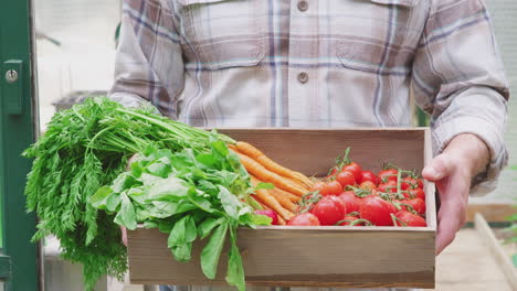 Close-Up-Of-Senior-Man-Holding-Box-Of-Home-Grown-Vegetables-In-Greenhouse