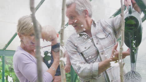 Grandparents-With-Baby-Grandson-Watering-Plants-In-Greenhouse-Together