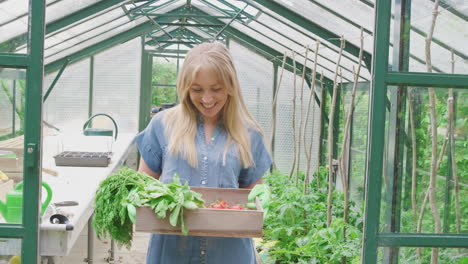 Portrait-Of-Smiling-Proud-Woman-Holding-Box-Of-Home-Grown-Vegetables-In-Greenhouse