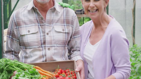 Portrait-Of-Senior-Couple-Holding-Box-Of-Home-Grown-Vegetables-In-Greenhouse
