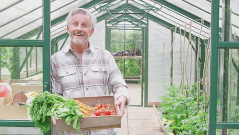 Portrait-Of-Proud-Smiling-Senior-Man-Holding-Box-Of-Home-Grown-Vegetables-In-Greenhouse