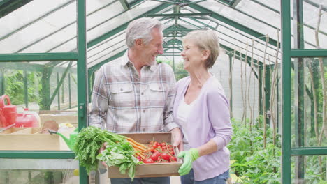Portrait-Of-Senior-Couple-Holding-Box-Of-Home-Grown-Vegetables-In-Greenhouse