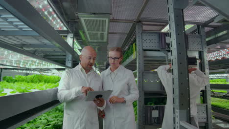 A-group-of-engineers-in-white-coats-walk-on-the-modern-vertical-farm-of-the-future-with-laptops-and-tablets-in-their-hands-studying-and-discussing-the-results-of-the-growth-of-green-plants