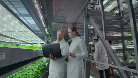 Modern-vertical-farm-for-growing-fresh-vegetables-and-lettuce-a-team-of-scientists-monitors-and-tests-samples-of-greens-and-discusses-the-results-of-research.