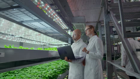 A-team-of-men-and-women-scientists-in-white-coats-with-a-laptop-and-a-tablet-analyze-the-work-of-a-vertical-farm-for-growing-vegetables-and-lettuce.-The-concept-of-modern-farms-of-the-future-solution-to-the-problems-of-global-pollution-of-the-planet