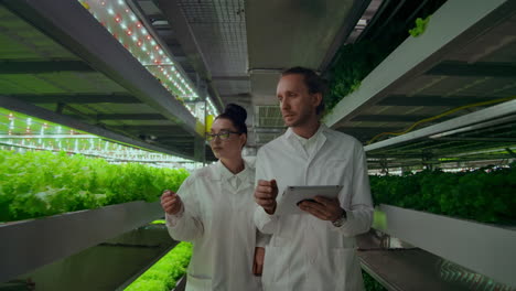 Quality-control-engineers-with-tablet-computer-walking-through-modern-greenhouse-examining-and-discussing-vegetable-production