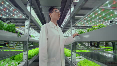 The-camera-moves-through-the-corridors-along-the-shelves-with-vegetables-and-herbs-on-a-modern-farm-a-team-of-scientists-and-farmers-monitor-the-work-of-the-station.