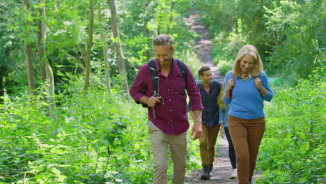 Mature-And-Mid-Adult-Couples-In-Countryside-Hiking-Along-Path-Through-Forest-Together