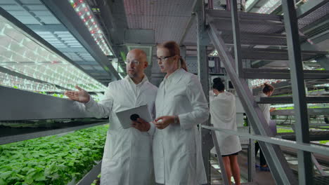Hydroponics-method-of-growing-salad-in-greenhouse.-Four-lab-assistants-examine-verdant-plant-growing.-Agricultural.-Industry.