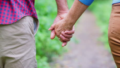 Close-Up-Of-Loving-Mature-Couple-Holding-Hands-On-Walk-Along-Path-In-Countryside-Together