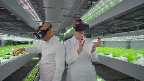 Moderne-Mikrobiologen-Nutzen-Virtual-Reality-Brillen,-Um-Das-Klima-Auf-Einem-Modernen-Bauernhof-Für-Den-Anbau-Von-Umweltfreundlichem-Gemüse-Zu-Kontrollieren-Und-Zu-Kontrollieren.