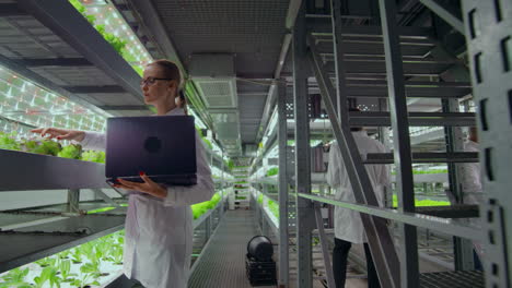 Scientists-and-farmers-work-together-in-a-team-to-create-clean-plants-in-an-artificial-environment-using-modern-technology-laptops-and-tablets.