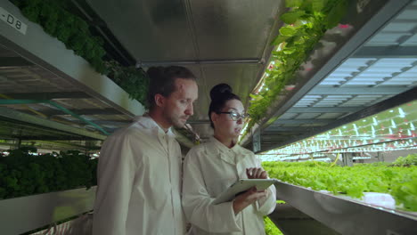 Group-of-modern-scientists-biotechnology-scientist-in-white-suit-with-tablet-for-working-organic-hydroponic-vegetable-garden-at-greenhouse