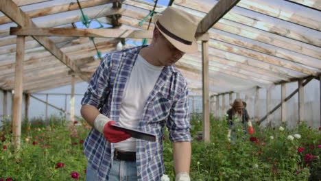 Young-entrepreneur-hothouse-owner-is-doing-inventory-in-greenhouse-counting-plants-and-entering-information-in-tablet.-Attractive-man-is-busy-checking-greenery.