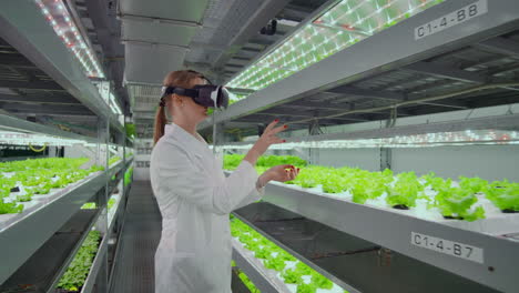 Scientists-a-woman-in-a-white-Bathrobe-to-use-sunglasses-is-really-a-virtual-farm-with-hydroponics-for-irrigation-control.-Geneticists-analyze-the-composition-of-vegetables-growing-on-plantations.