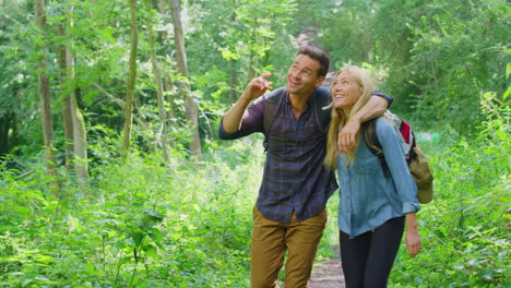Loving-Couple-In-Countryside-Hiking-Along-Path-Through-Forest-Together