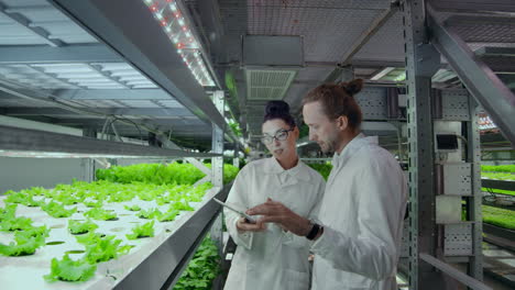 Modern-scientists-are-engaged-in-the-development-of-healthy-food-production-by-growing-them-in-vertical-automated-farms.-Analysis-of-data-using-a-laptop-and-tablet-computer