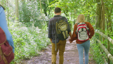 Rear-View-Of-Mature-And-Mid-Adult-Couples-In-Countryside-Hiking-Along-Path-Through-Forest-Together