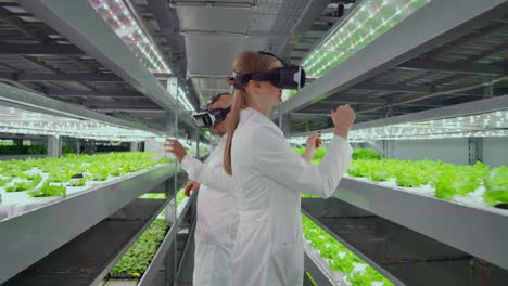 Vertical-hydroponics-plantation-man-and-woman-in-white-coats-use-virtual-reality-technologies-simulating-interface-operation.