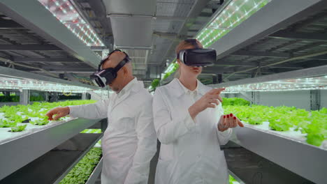 Male-and-female-white-lab-coats-use-virtual-goggles-to-control-the-growth-and-development-of-plants-and-vegetables-control-irrigation-systems-and-fertilizer-temperature.