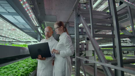 Two-scientists-with-a-laptop-in-the-hands-of-men-and-women-discussing-the-results-of-biological-research-on-a-modern-vertical-farm