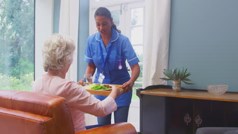 Pflegerin-In-Uniform-Bringt-Einer-älteren-Frau,-Die-Zu-Hause-In-Der-Lounge-Sitzt,-Essen-Auf-Einem-Tablett