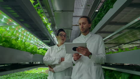 Eine-Gruppe-Von-Ingenieuren-In-Weißen-Kitteln-Geht-Mit-Laptops-Und-Tablets-In-Der-Hand-über-Die-Moderne-Vertikale-Farm-Der-Zukunft-Und-Studiert-Und-Diskutiert-Die-Ergebnisse-Des-Wachstums-Grüner-Pflanzen