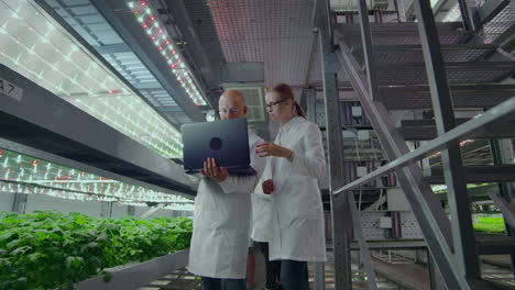 A-group-of-people-in-white-coats-with-a-laptop-and-a-tablet-on-a-hydroponic-farm-contribute-research-data-on-vegetables-to-the-data-center-for-analysis-and-programming-of-plant-irrigation.