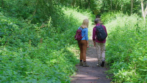 Rear-View-Of-Mature-Couple-In-Countryside-Hiking-Along-Path-Through-Forest-Together