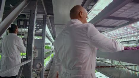 Wissenschaftler,-Männer-Und-Frauen,-Arbeiten-Durch-Die-Korridore-Einer-Modernen-Metallfarm-Zum-Anbau-Von-Gemüse-Und-Kräutern,-Untersuchen-Die-Regale-Mit-Grünen-Pflanzen-Und-Geben-Daten-In-Den-Computer-Ein