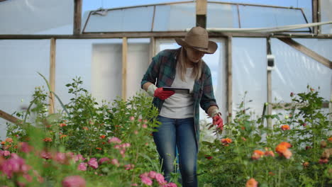 Mujer-Jardinera-Con-Sombrero-Buscando-Flores.-Un-Florista-Moderno-Utiliza-Una-Tableta-Para-Analizar-El-Rendimiento-De-Las-Flores