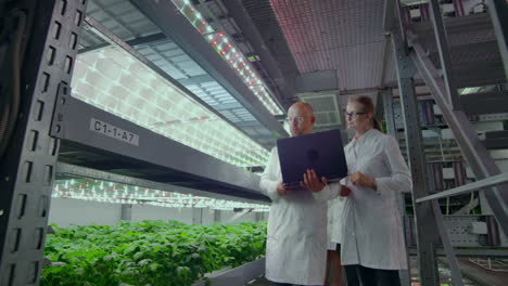 Scientists-in-white-coats-with-a-laptop-and-a-tablet-on-a-vertical-farm-with-hydroponics-make-research-data-on-vegetables-in-the-data-center-for-the-analysis-and-programming-of-watering-plants.