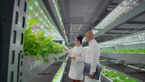 scientists-at-the-modern-farm-production-discuss-the-success-of-growing-disease-resistant-plants.-Hydroponics-growing-of-fat-in-the-modern-city.
