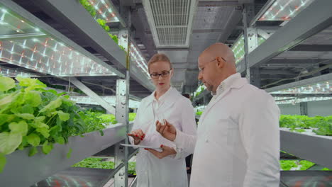 Biologist-puts-sprout-in-test-tube-for-laboratory-analyze.-Two-scientists-stand-in-greenhouse.-They-are-dressed-in-white-uniform-disposable-gloves-and-eye