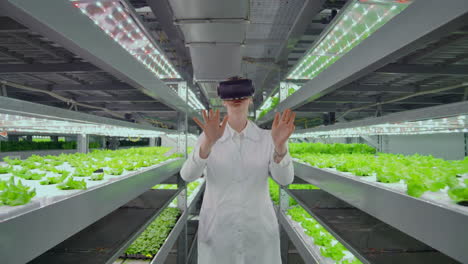 Vertical-hydroponics-plantation-a-woman-in-a-white-coat-uses-virtual-reality-technologies-simulating-the-operation-of-the-interface.