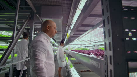 Team-work-of-scientists-and-farmers-men-and-women-using-modern-technology-and-hydroponics.-The-business-of-growing-vegetables-and-salads-in-a-bad-environment.-The-concept-of-eco-friendly-products.