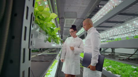 A-group-of-people-in-white-coats-analyze-and-discuss-the-results-of-the-growth-of-vegetables-and-plants-on-a-modern-farmer