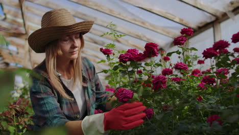 Girl-florist-in-a-flower-greenhouse-sitting-examines-roses-touches-hands-smiling.-Little-flower-business.-Woman-gardener-working-in-a-greenhouse-with-flowers