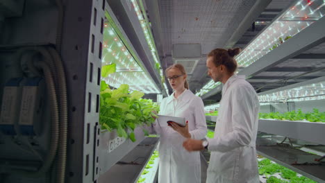 Projektleiter---Bio-Gemüseanbau-überwacht-Die-Arbeit-Der-Mitarbeiter-Und-Befragt-Die-Ergebnisse-Der-Ernte.-Die-Kamera-Folgt-Dem-Kopf