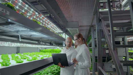 Modern-scientists-are-engaged-in-genetic-engineering-in-the-modern-production-of-vegitarian-products.-Modern-farm-for-automated-production-of-vegetables
