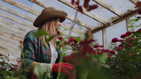 Girl-florist-in-a-flower-greenhouse-sitting-examines-roses-touches-hands-smiling.-Little-flower-business.-Woman-gardener-working-in-a-greenhouse-with-flowers