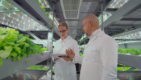A-group-of-scientists-from-men-and-women-in-white-coats-with-a-test-tube-in-their-hands-discuss-and-lead-a-discussion-on-the-topic-of-biologically-effective-additives-for-growing-vegetables-and-fruits-while-in-a-vertical-farm.