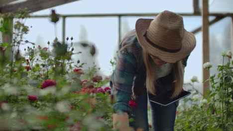 Woman-gardener-in-a-hat-looking-for-flowers.-A-modern-Florist-uses-a-tablet-computer-to-analyze-the-yield-of-flowers