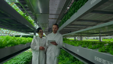 A-group-of-scientists-in-white-coats-are-on-the-corridor-of-a-vertical-farm-with-a-tablet-computer-and-discuss-the-plants.