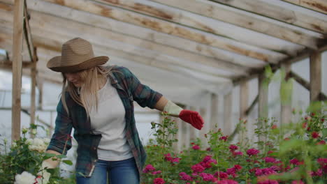 Happy-woman-with-flowers-in-greenhouse.-People-gardening-and-profession-concept---happy-woman-with-flowers-in-greenhouse