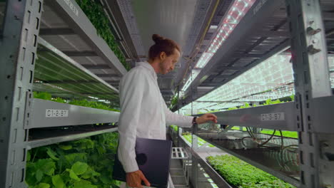 Hydroponics-method-of-growing-salad-in-greenhouse.-Four-lab-assistants-examine-verdant-plant-growing.-Agricultural.-Industry.