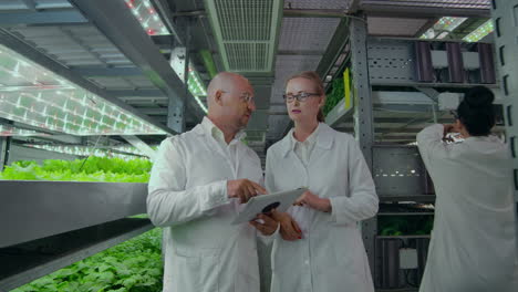 Microbiology-in-white-coats-walking-on-a-modern-farm-with-laptops-and-tablets-studying-and-discussing-the-results-of-the-growth-of-green-plants